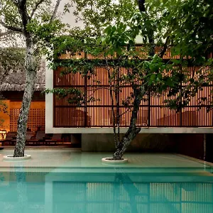  Villa Jungle Keva & Venue Mexico